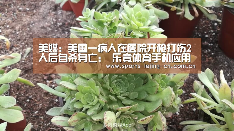 乐竟体育App下载