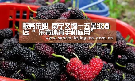  乐竟体育手机应用
