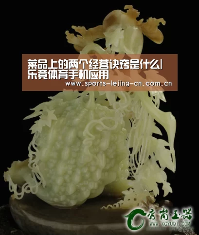  乐竟体育手机应用