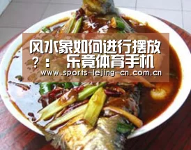风水象如何进行摆放?: 乐竟体育手机应用